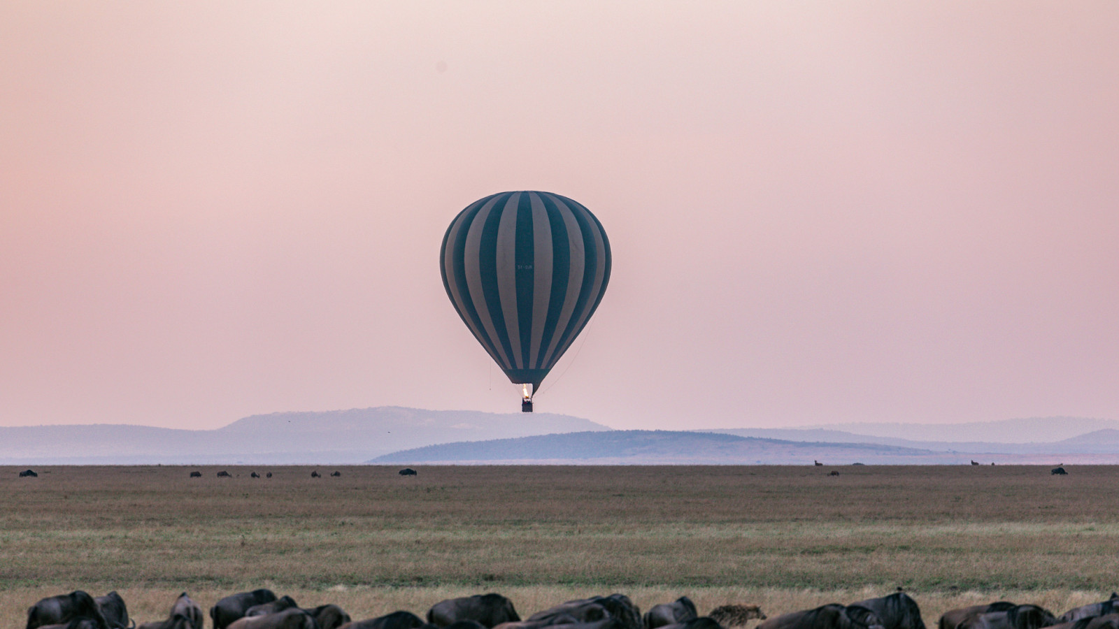 heißluftballon-über-einer-ebene-mit-einer-buffelherde