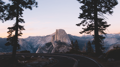 straße-in-den-bergen-zwei-bäume-an-der-seite