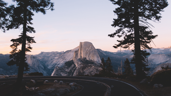 straße-in-den-bergen-zwei-bäume-an-der-seite