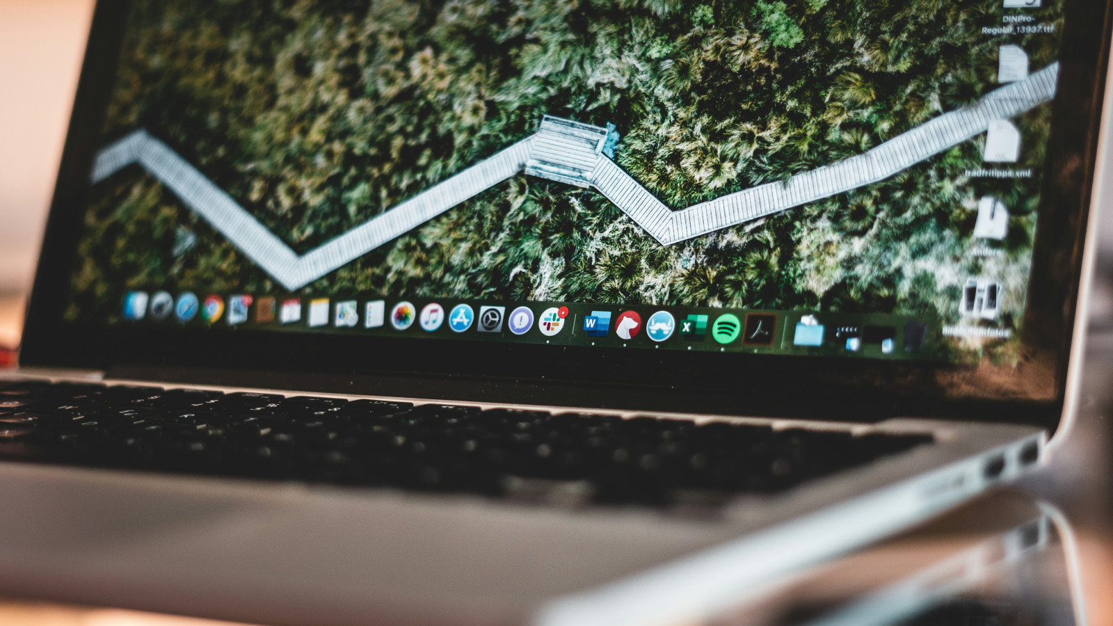 Schwarzer und silberner Laptop Computer mit Wald als Desktophintergrund