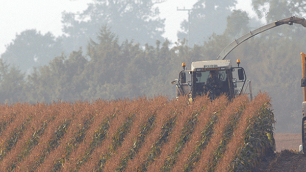 Feldarbeit mit KWS Saatgut