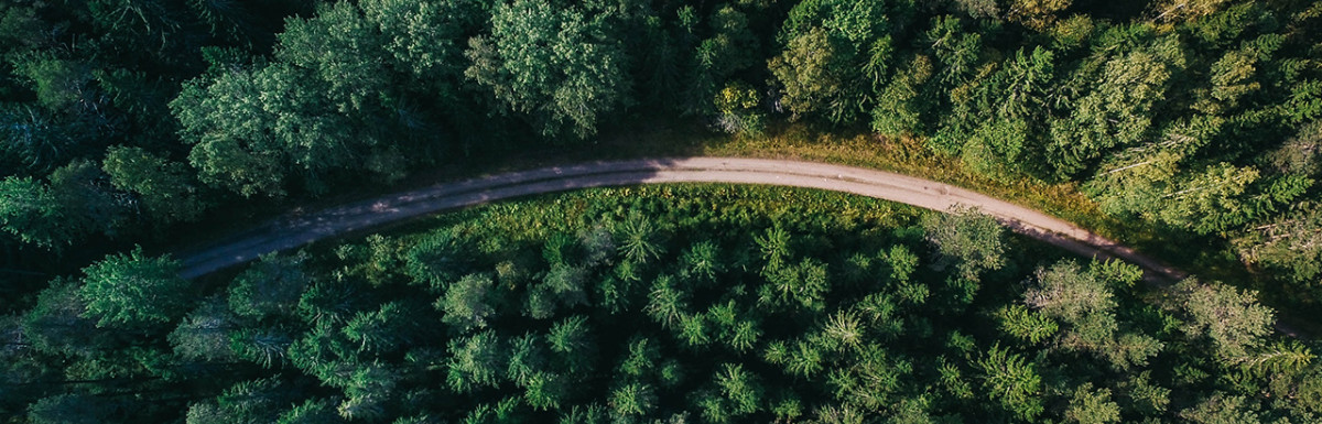 Luftaufnahme einer kurvigen Straße